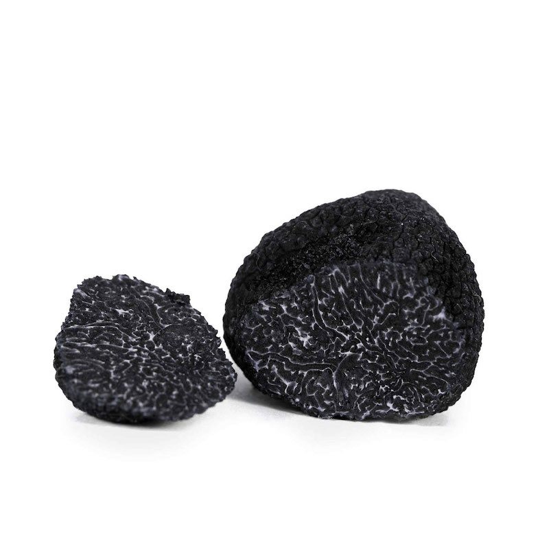 Black truffle precious | Siena Tartufi